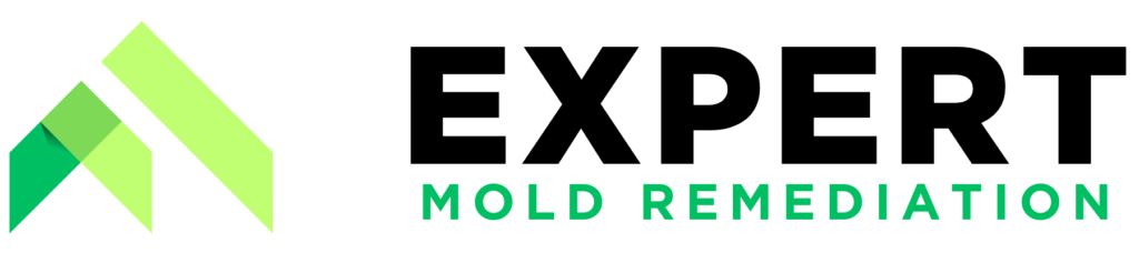 Expert Mold Remediation